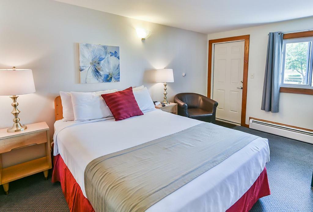 The Saco Motel Extérieur photo